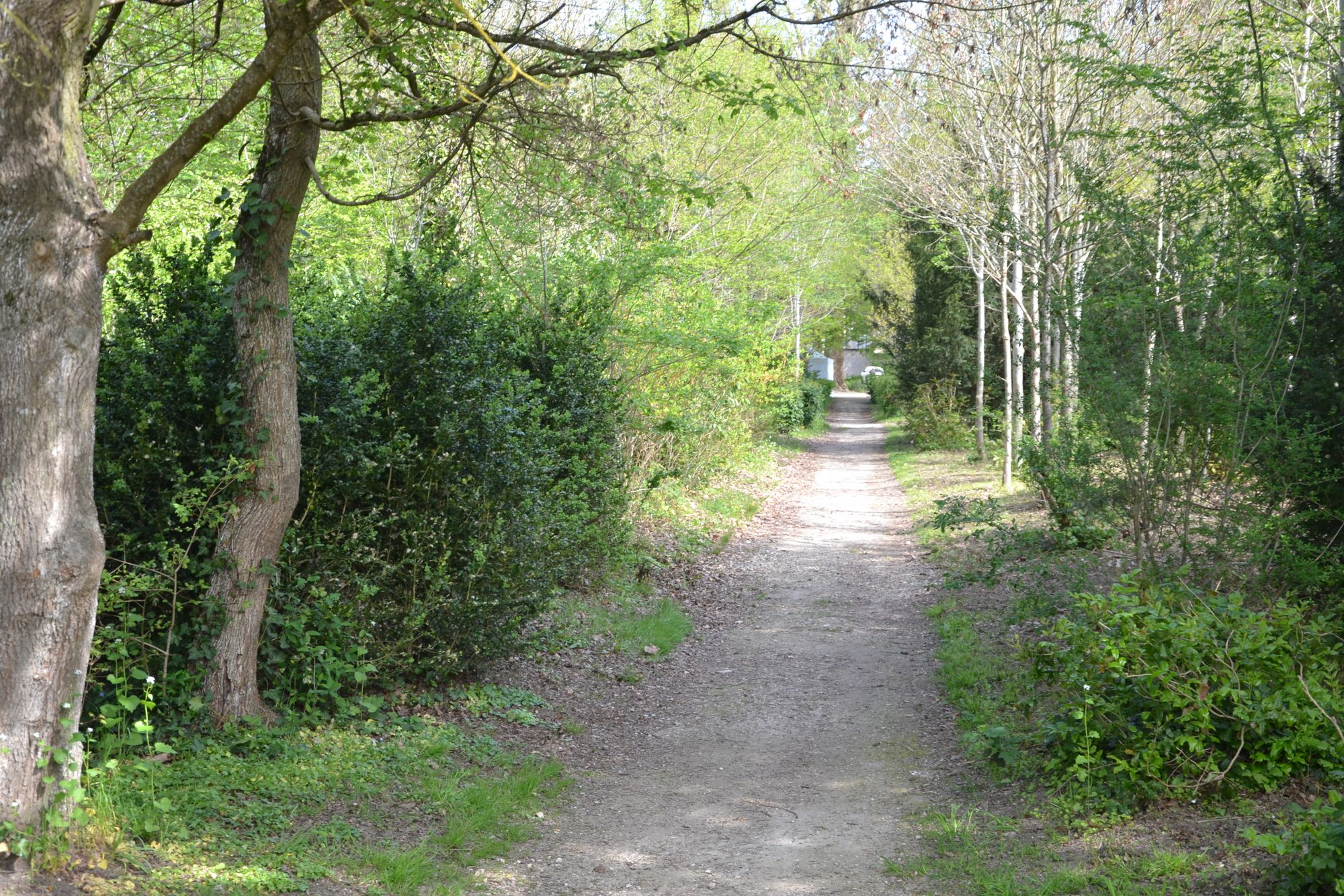 Balades, forêt, randonnées - Office de Tourisme Dourdan