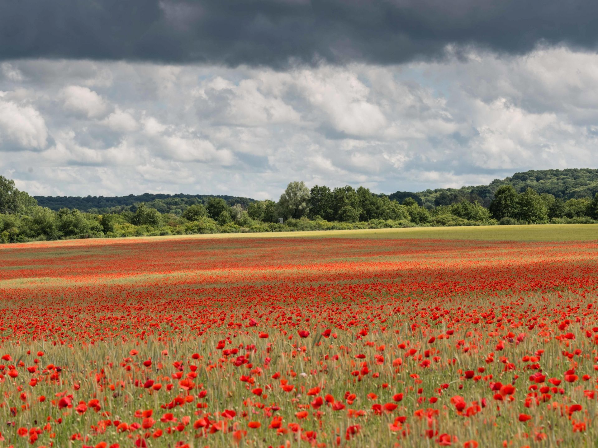 Paysage du Dourdannais en Hurepoix