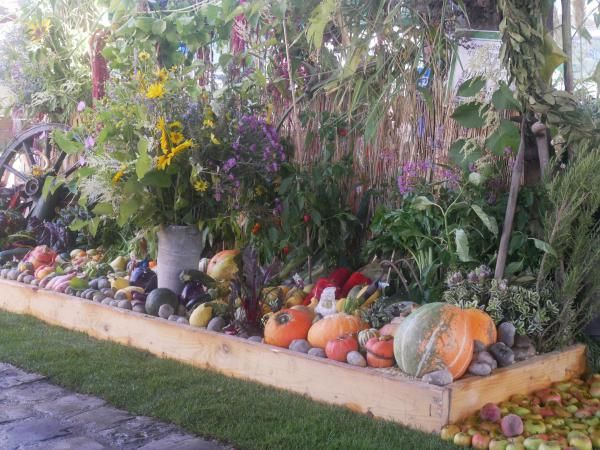 Exposition de légumes à la Saint-Félicien