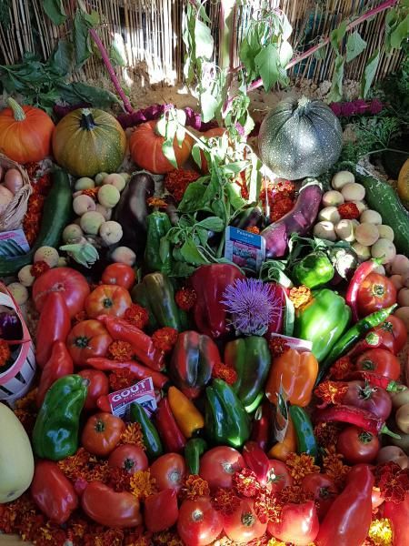 Exposition de légumes à la Saint-Félicien