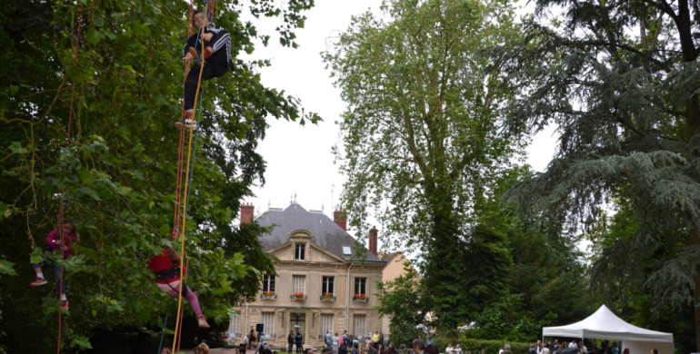 Grimpe d'arbre au parc Lejars-Rouillon 