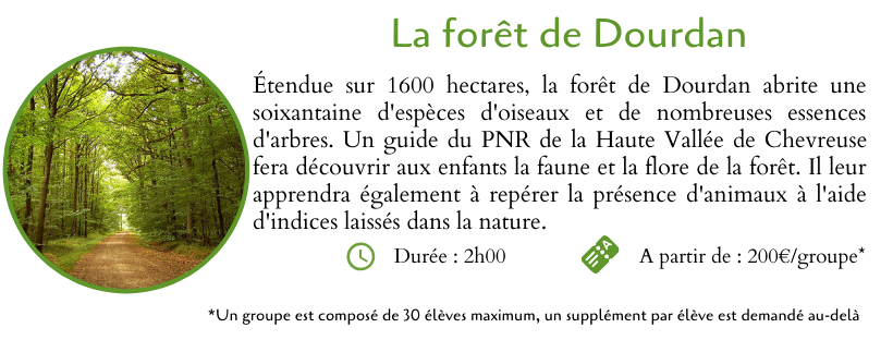 La forêt de Dourdan