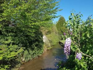 Les bords de l'Orge