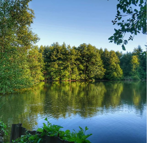 Les fontaines bouillantes