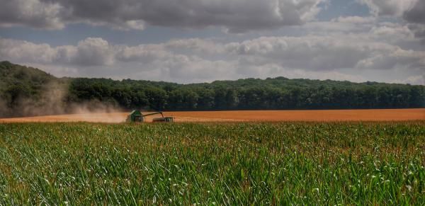 Moisson à l'Abbaye de l'Ouÿe ©CF-DT