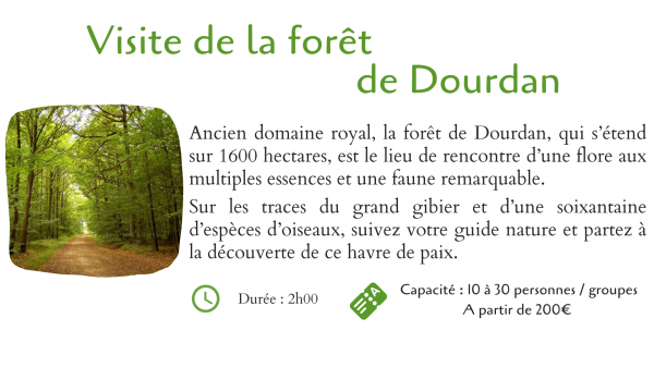 Visite de la forêt de Dourdan