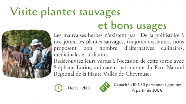 Visites plantes sauvages et bons usages